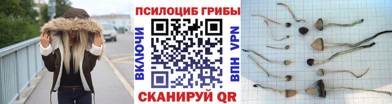 Галлюциногенные грибы мицелий  Купить  Липки 